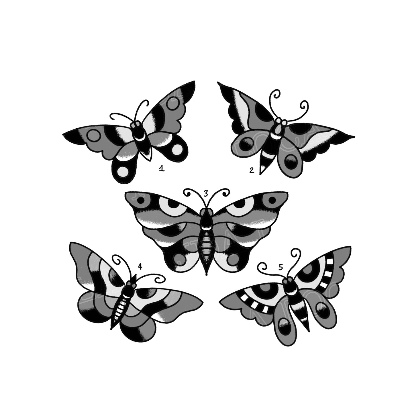 Papillon