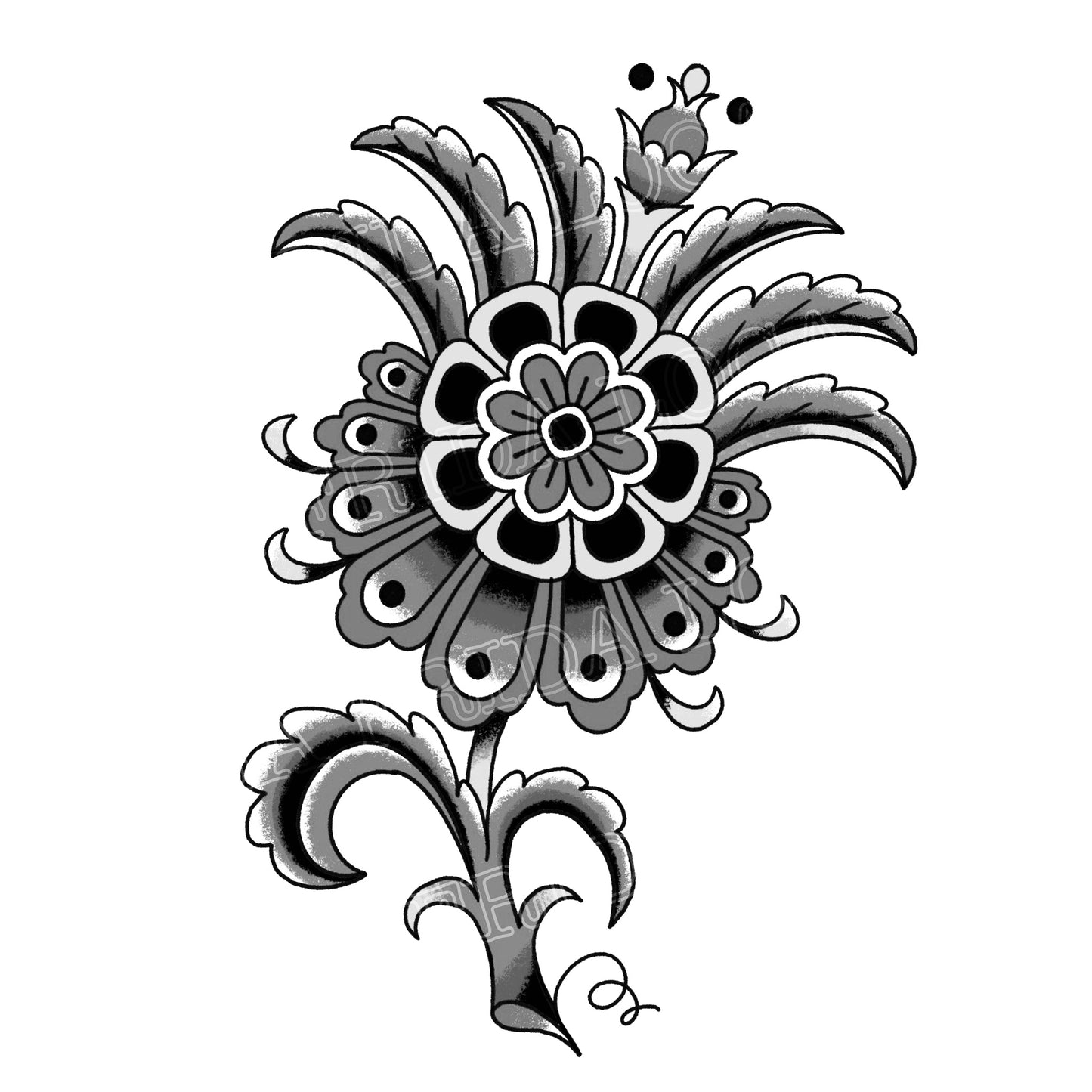 Plume flower 